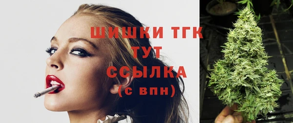 стафф Арсеньев