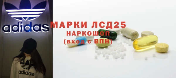 стафф Арсеньев