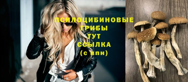 стафф Арсеньев