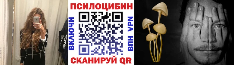 Галлюциногенные грибы Psilocybe  Бирск 